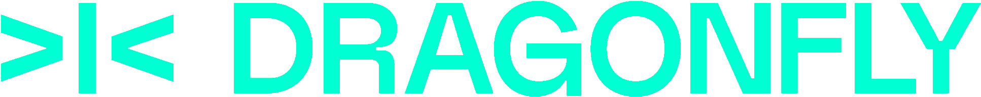 Finance Manager, Dragonfly Capital logo